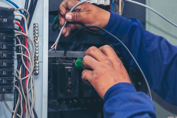 Best Ceiling Fan Installation Electrician  in Lford, MI